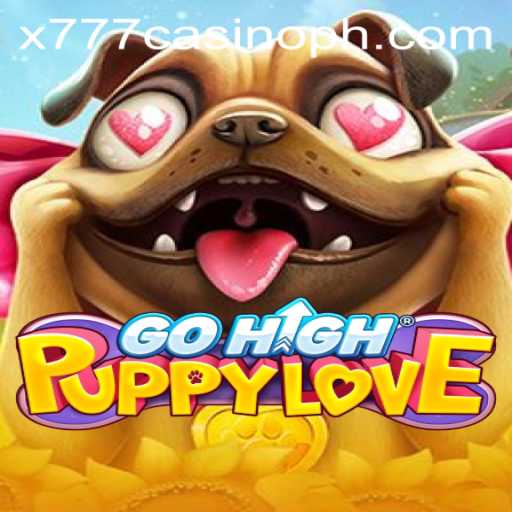 Discover the Thrills of 
