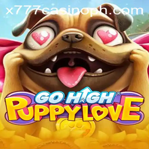 Discover the Thrills of 